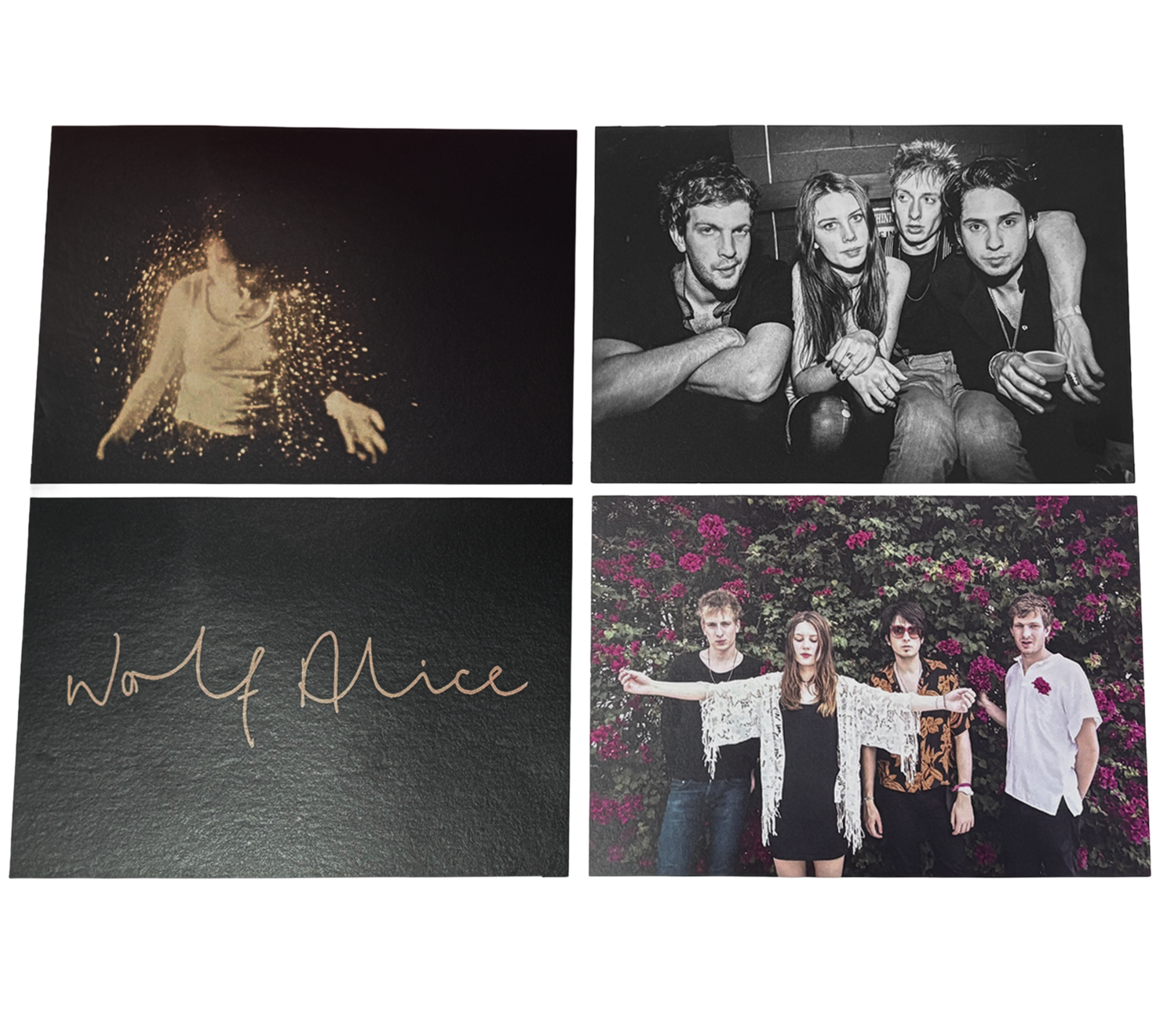 LICENSED WOLF ALICE 4 PC POSTCARD SET MULTI - ALICE