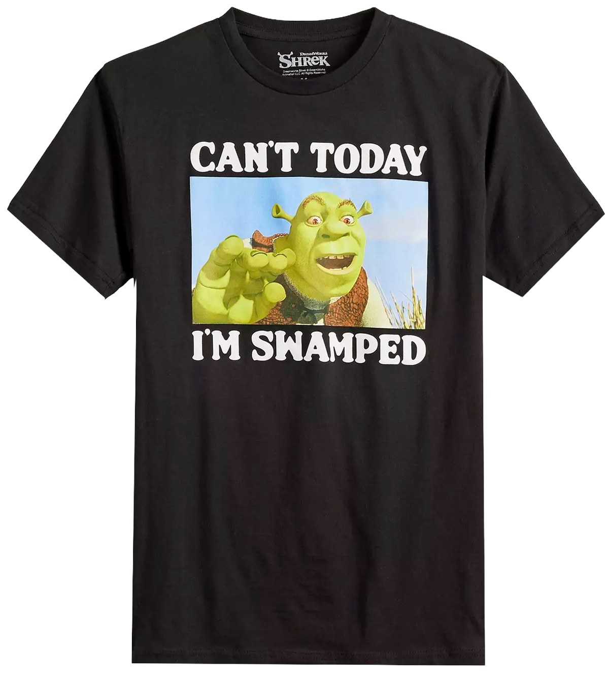 LICENSED ASSORTED POP CULTURE T-SHIRTS (IR) ASST - CARTOONS