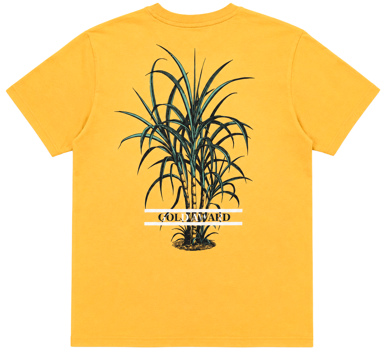 BORN FLY ASSORTED GRAPHIC T-SHIRTS ASST - BFSSTA