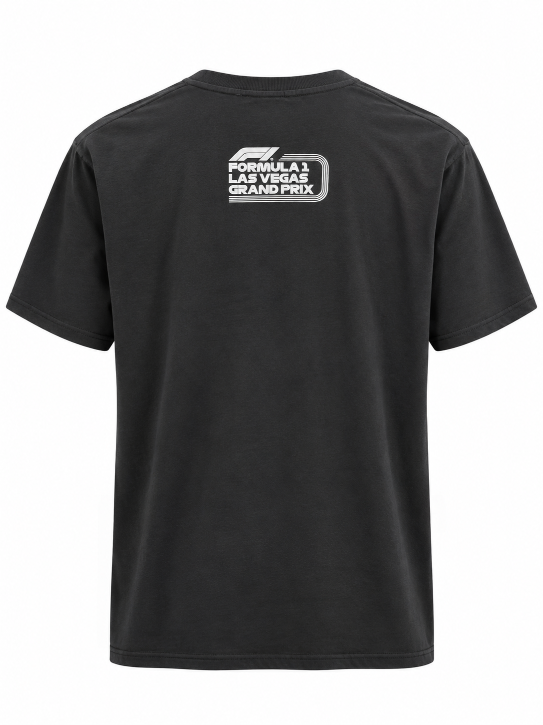 FORMULA 1 GRAND PRIX T-SHIRT GREY - LVGP2024HSTB
