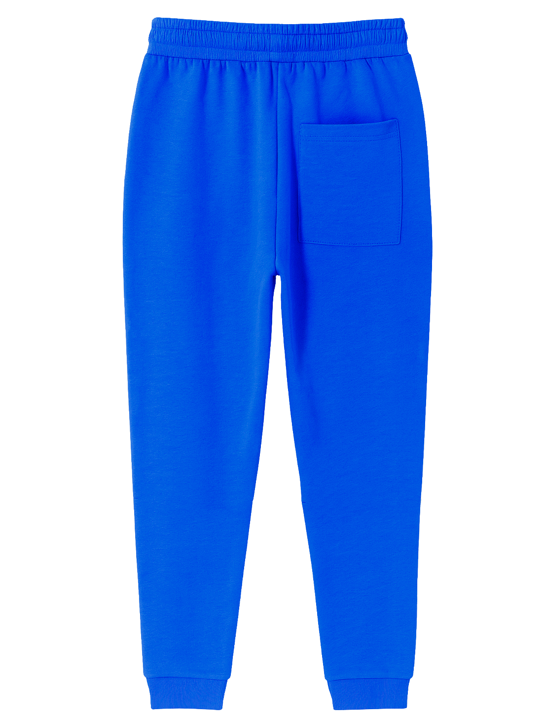 FIFTH LOOP HIGH VOLTAGE JOGGER PANTS HYPER ROYAL - FLP142