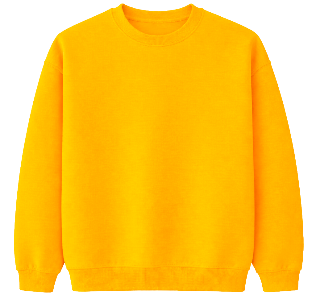 BIO ASSORTED BLANKS CREWNECKS ASST - BLANKS