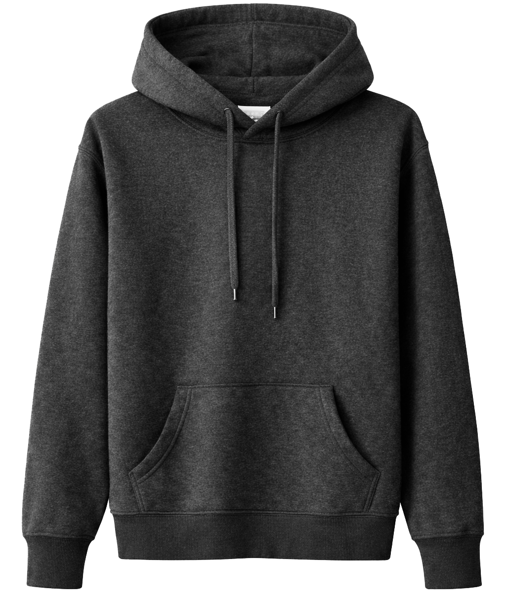 BIO ASSORTED BLANK HOODIES ASST - BLANKS