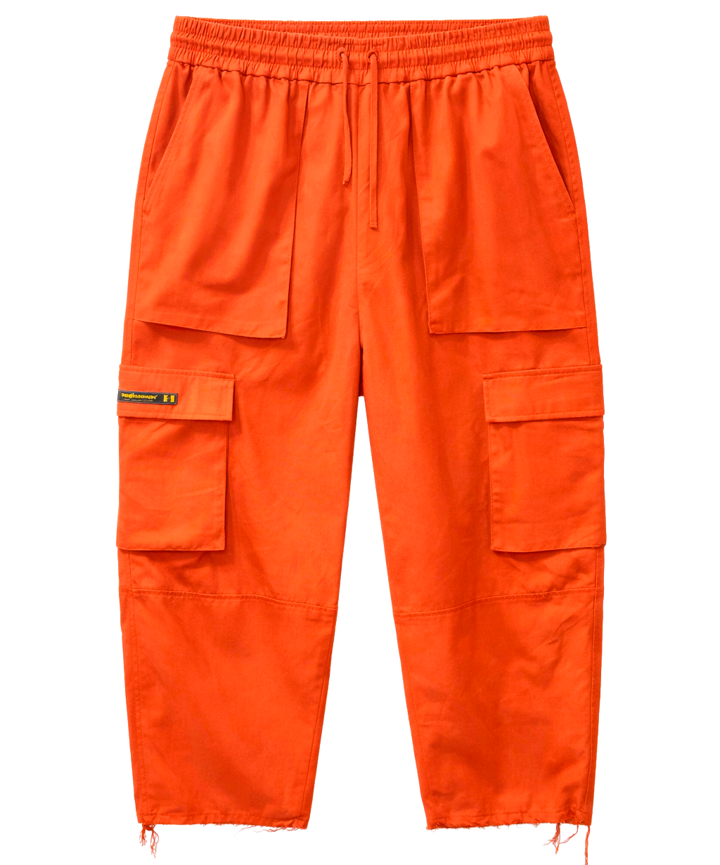 THE HUNDREDS ASSORTED LOOSE CARGO NYLON PANTS ASST - T100LJGR25