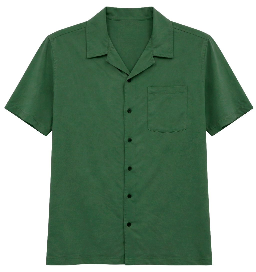 THE HUNDREDS ASSORTED S/S B/D SHIRTS ASST - T100SBD25