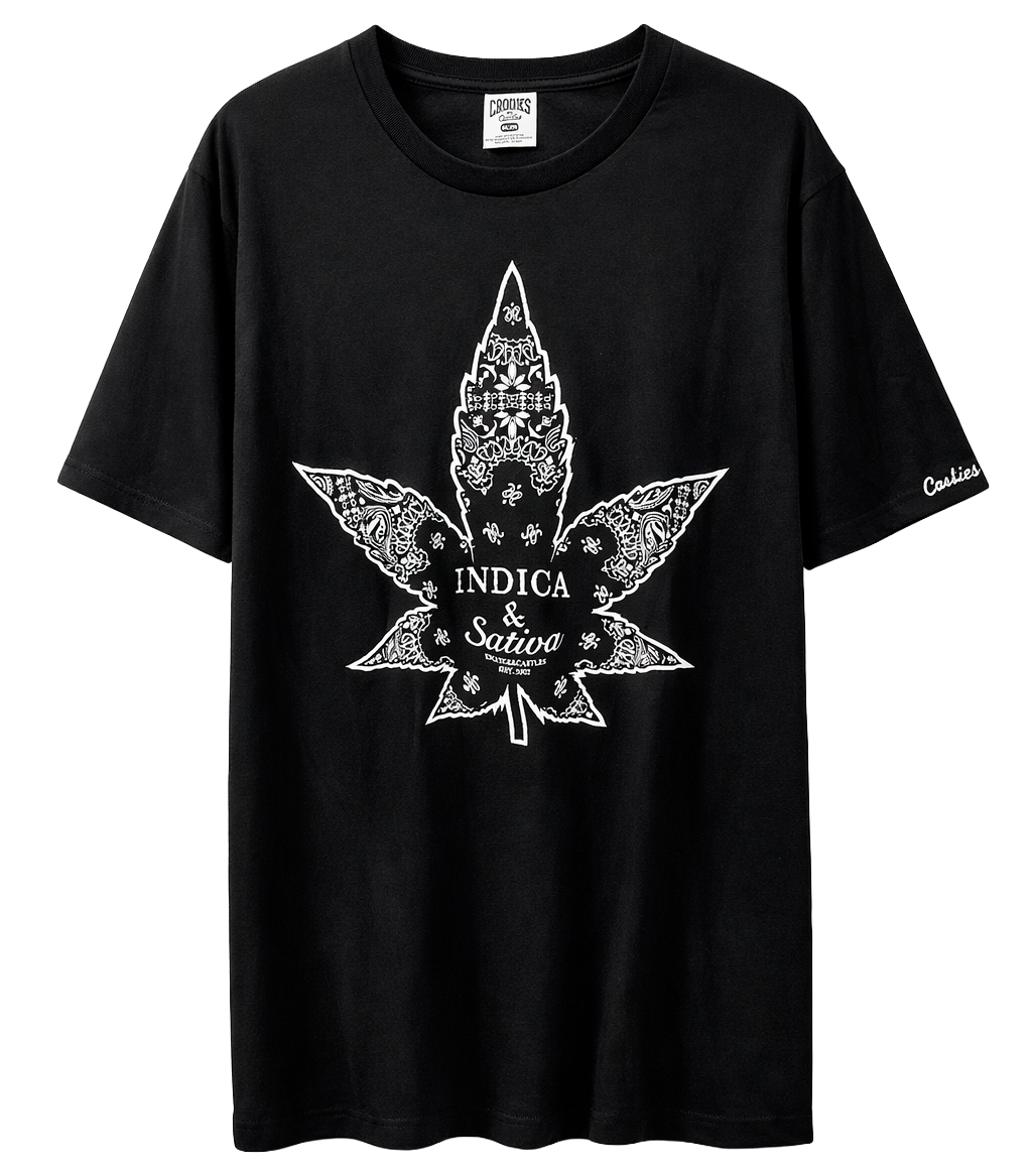 CROOKS & CASTLES ASSORTED DIRTY GRAPHIC T-SHIRTS ASST - CCSTD05