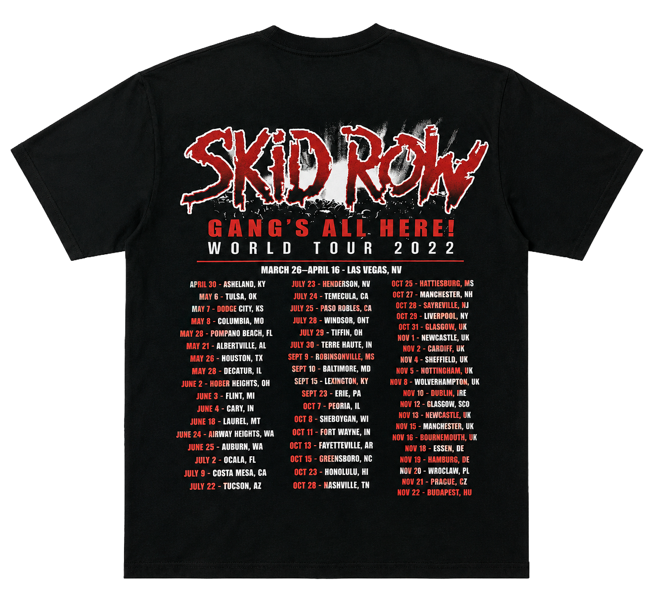 LICENSED SKID ROW TOUR T-SHIRT BLACK - SKR0030