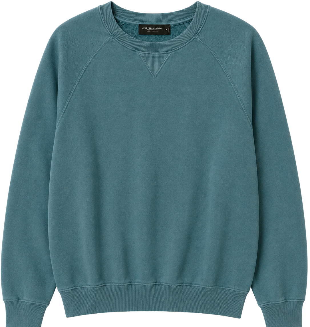 JUNK FOOD UNISEX BLANK CREWNECKS ASST - JFCNA