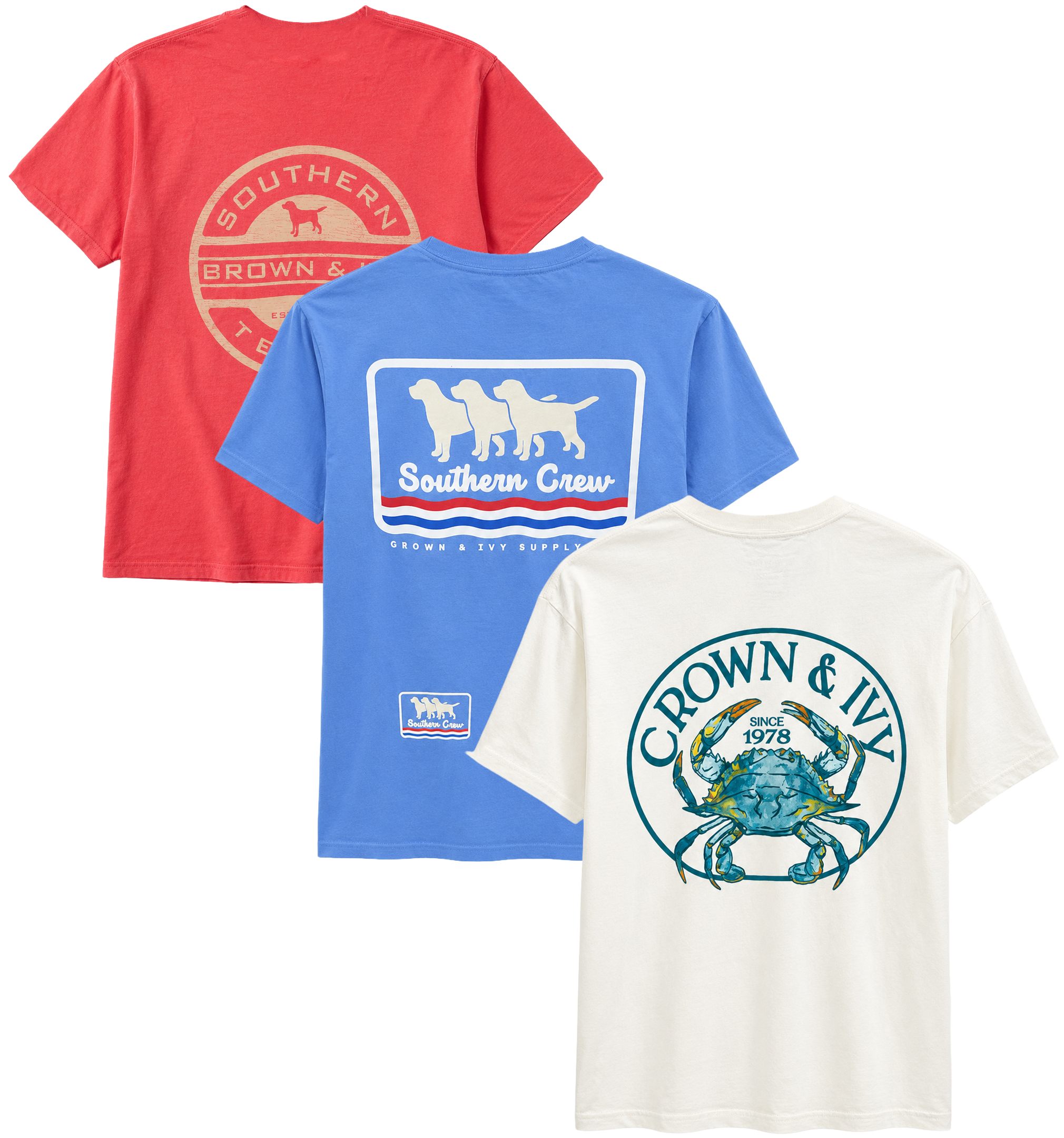 LICENSED ASSORTED GRAPHIC T-SHIRTS (IR) ASST - CROWN IVY