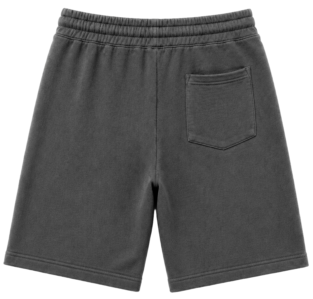 INDEPENDENT TRADING CO SWEAT SHORTS PIGMENT BLACK - BLANKS