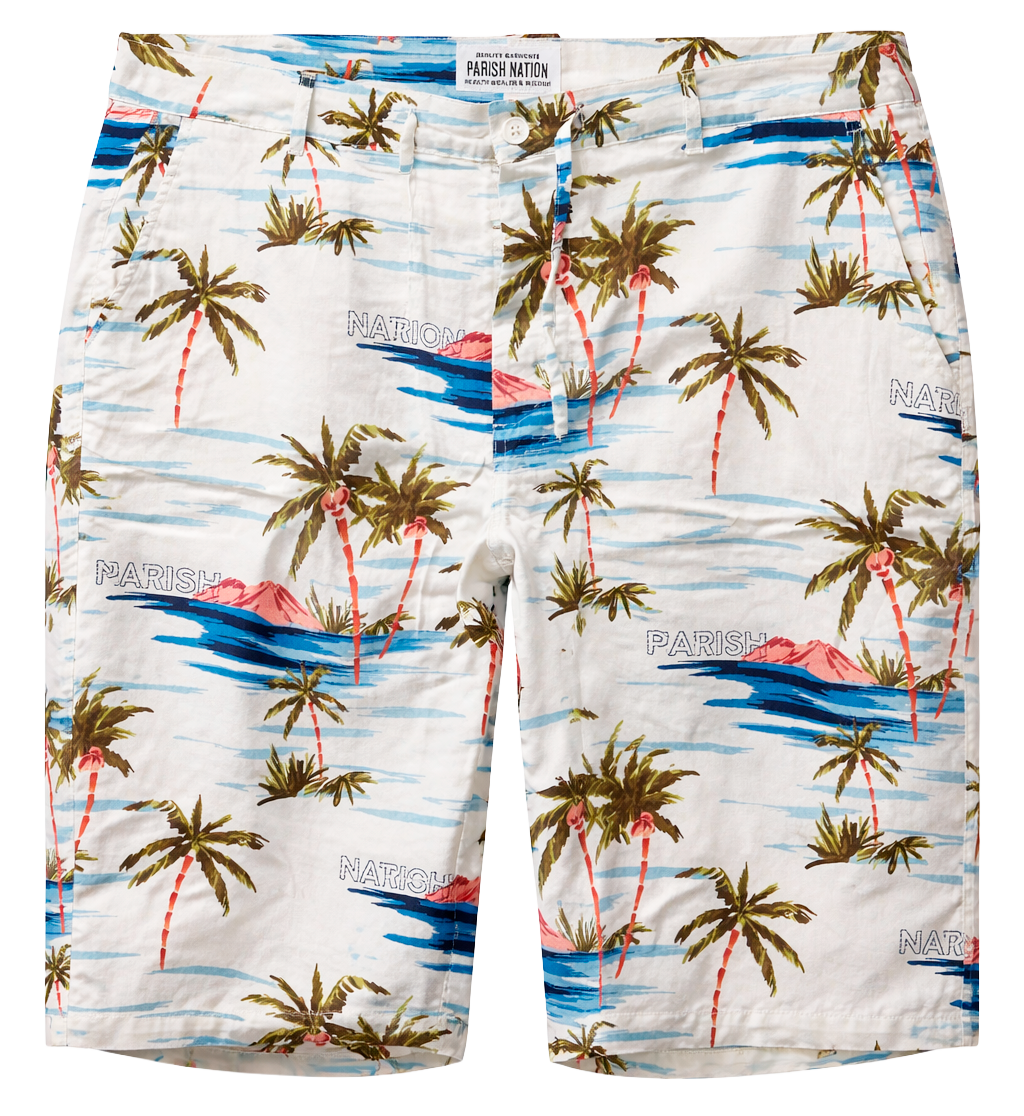 PARISH NATION ASSORTED BOARD SHORTS ASST - PNBDSHT - Steal Deal 