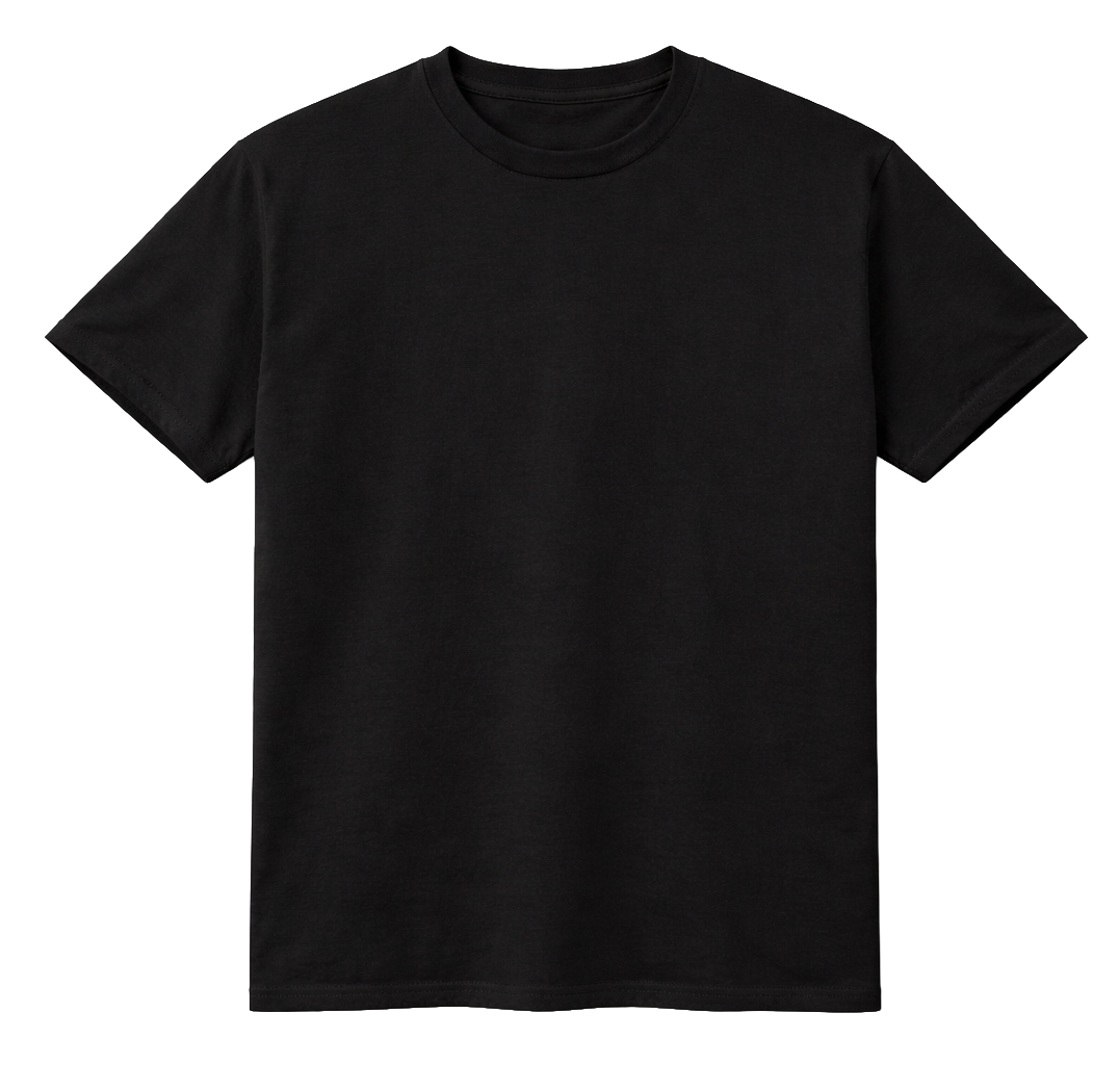 ASSORTED PREMIUM BLANK T-SHIRTS ASST - BLANKS - Steal Deal 
