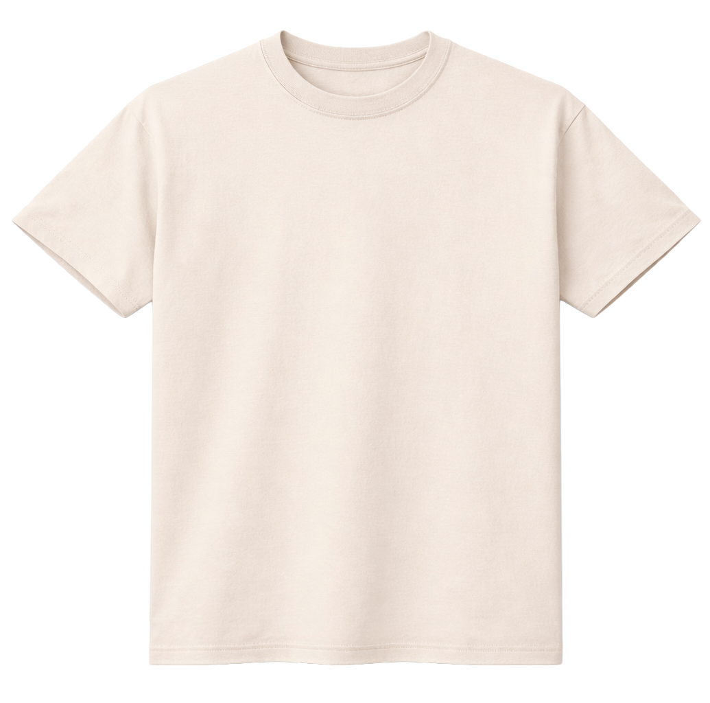 ASSORTED PREMIUM BLANK T-SHIRTS ASST - BLANKS - Steal Deal 