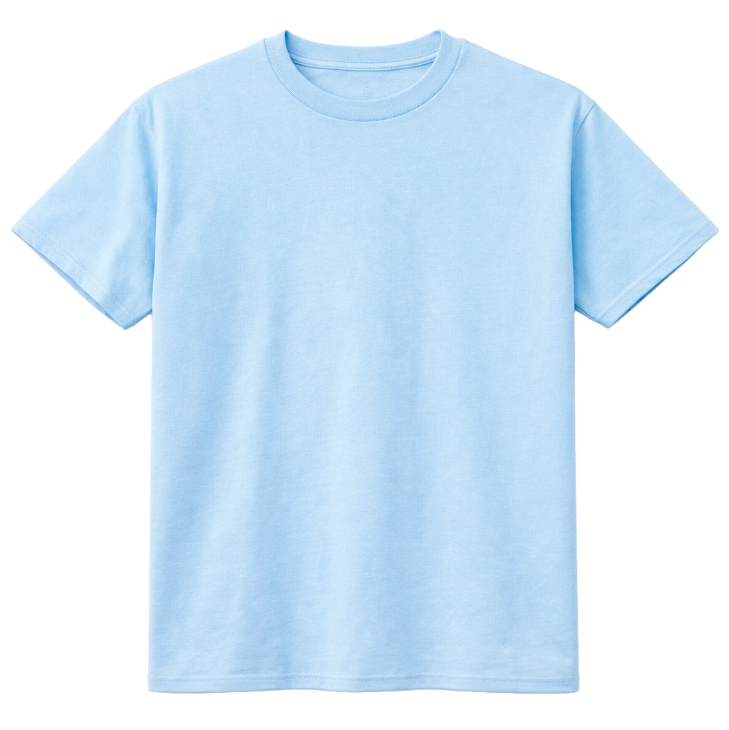 ASSORTED PREMIUM BLANK T-SHIRTS ASST - BLANKS