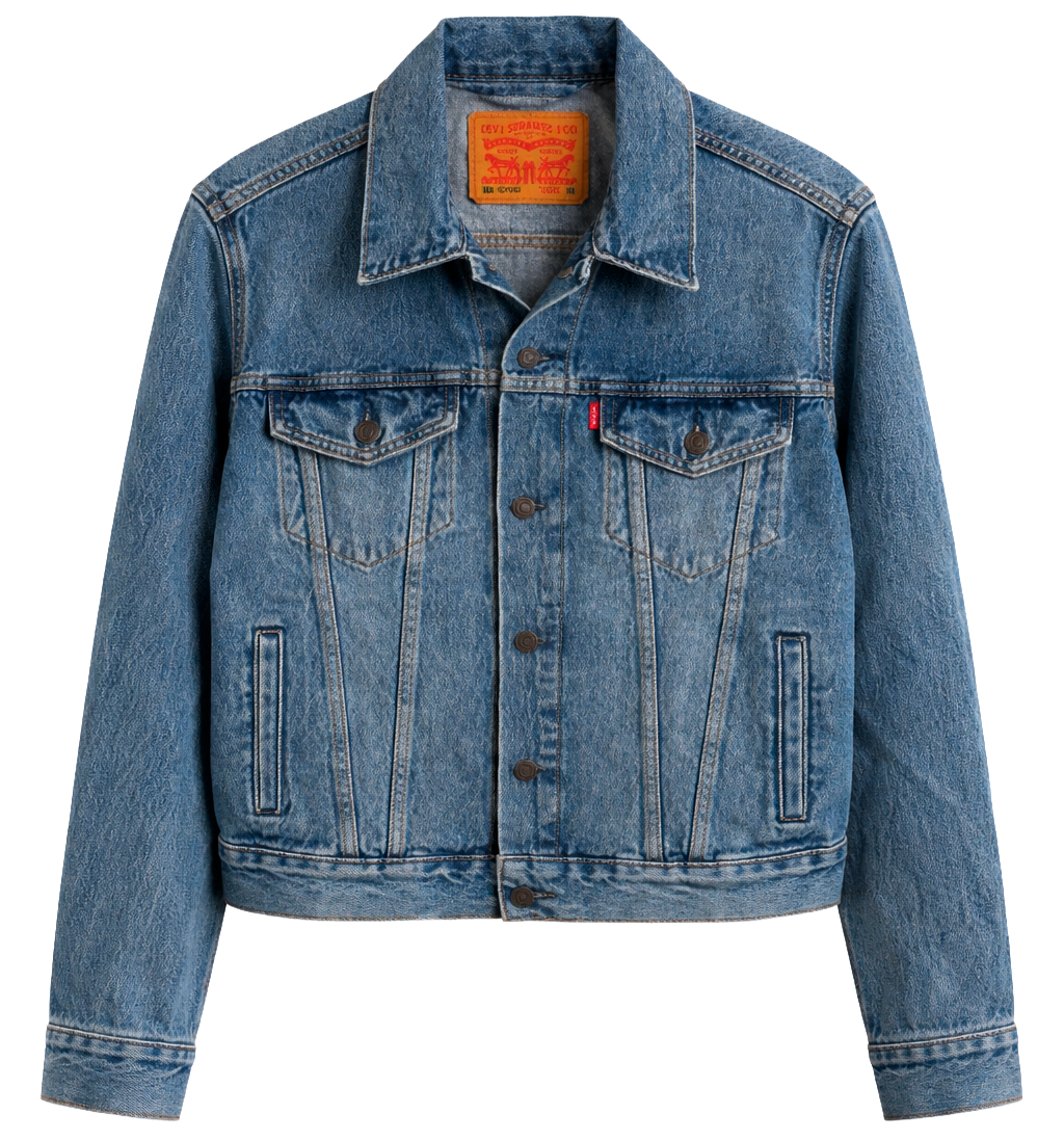 LEVIS ASSORTED OUTDOOR JACKET ASST - LVSJKT26 - Steal Deal 