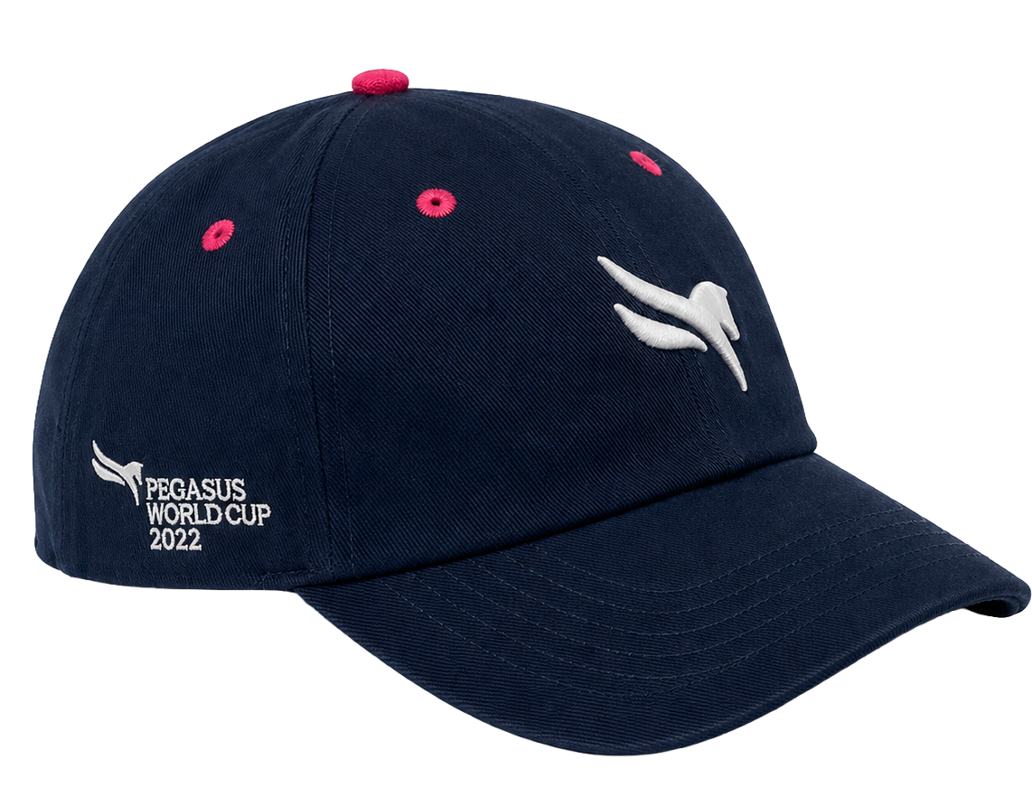 1/ST GULF STREAM PARK 2022 DAD HAT NAVY - PEGASUS