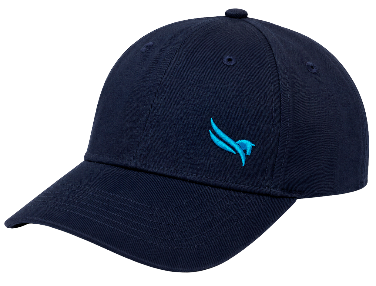 1/ST GULF STREAM PARK DAD HAT NAVY - GULFSTREAM