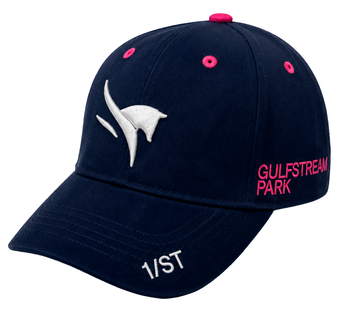 1/ST GULF STREAM PARK 2022 DAD HAT NAVY - PEGASUS