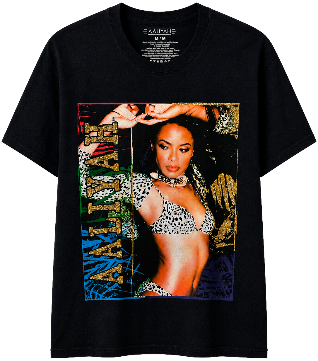 LICENSED ASSORTED AALIYAH T-SHIRTS ASST - ALYSSTA