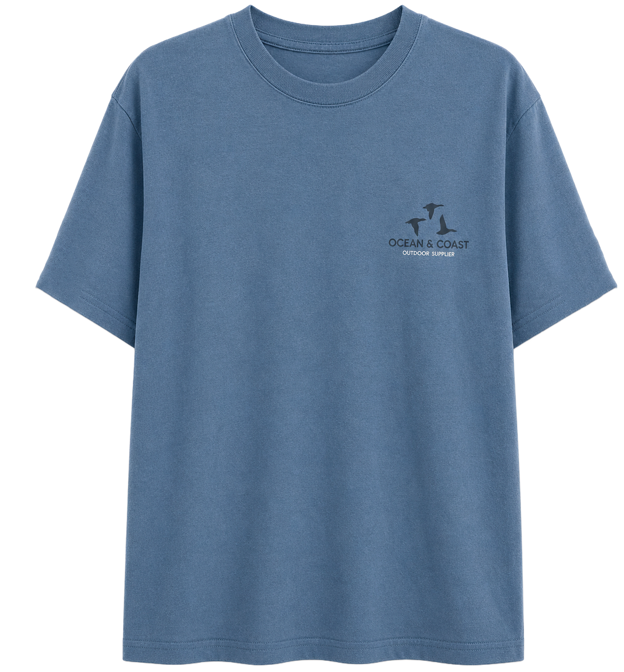 LICENSED ASSORTED GRAPHIC T-SHIRTS (IR) ASST - OCEAN COAST