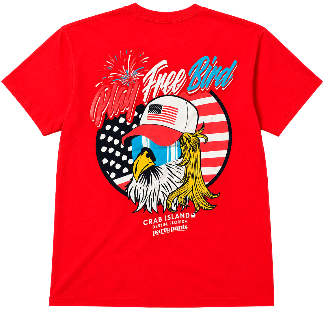 LICENSED ASSORTED PARTY PANTS T-SHIRTS ASST - PPAST26