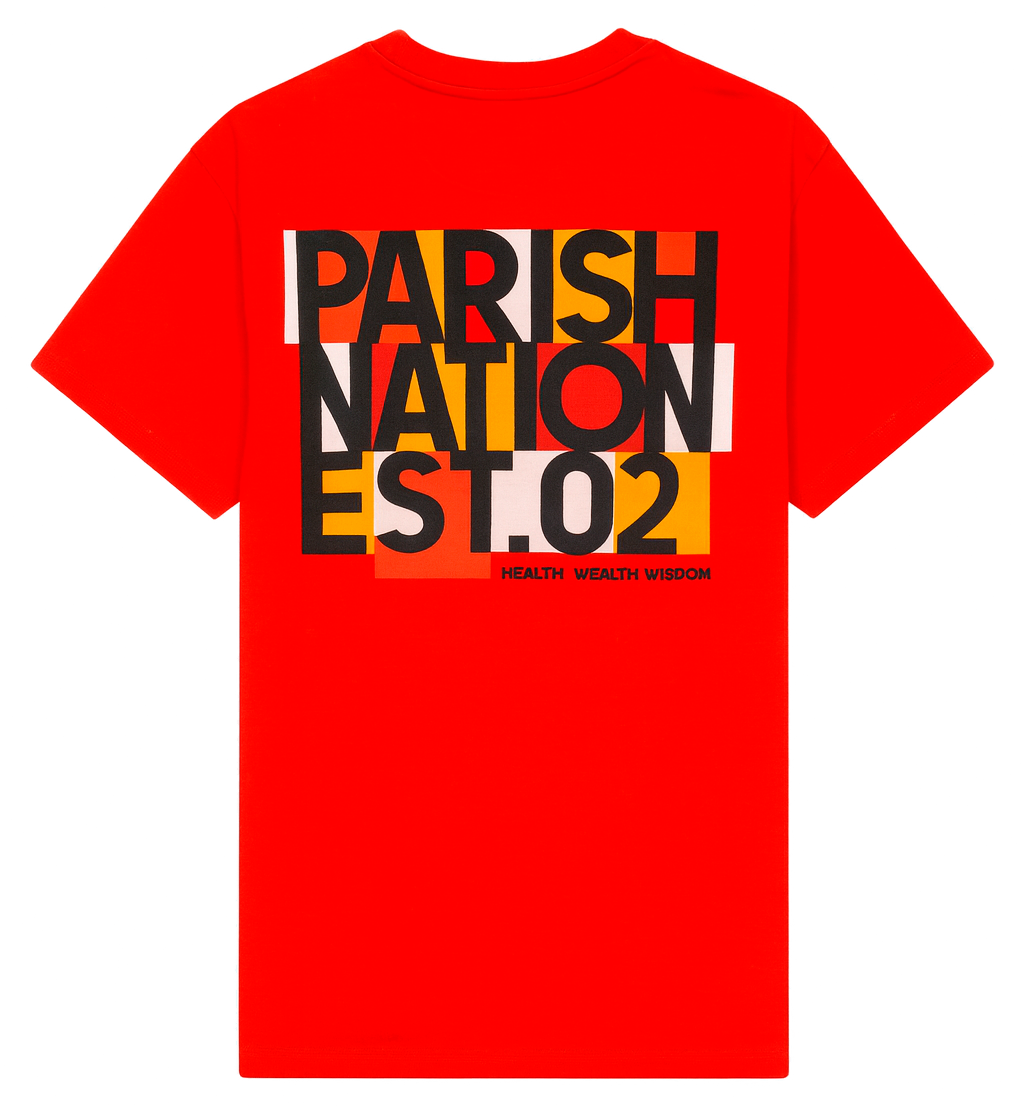 PARISH NATION ASSORTED GRAPHIC T-SHIRTS ASST - PNSSTA