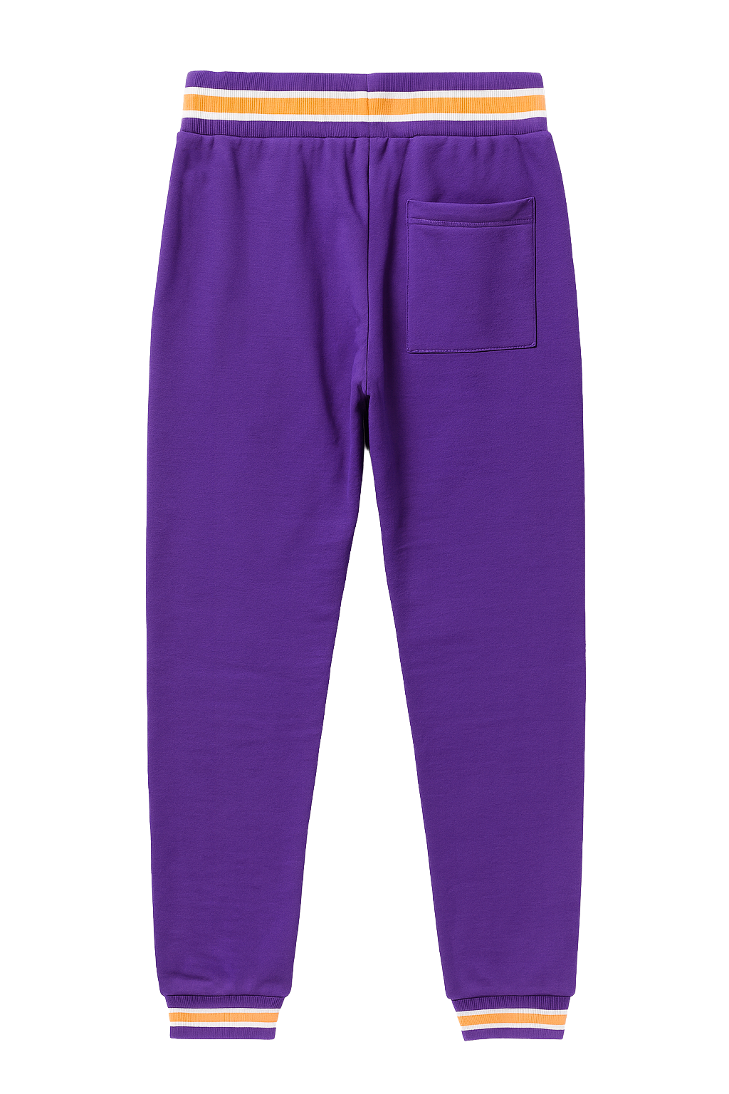 FIFTH LOOP GOOD LIFE JOGGER PANTS PURPLE - FLP143
