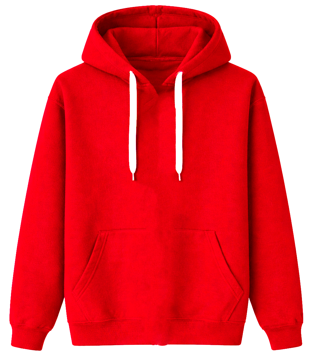 BIO ASSORTED BLANK HOODIES ASST - BLANKS