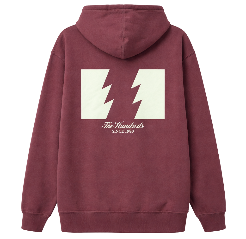 THE HUNDREDS ASSORTED HOODIES ASST - T100HD25