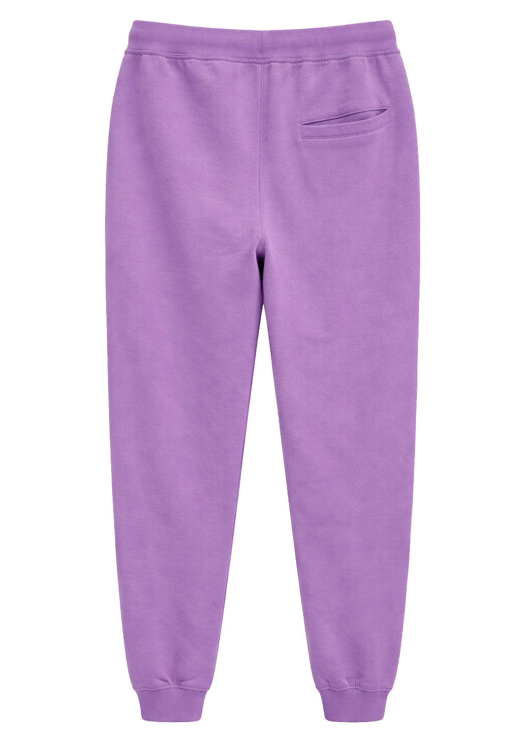 CROOKS & CASTLES GRAPHIC JOGGER PANTS PURPLE - C2150614