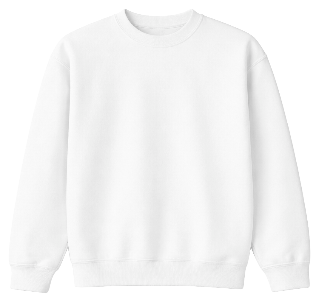 ASSORTED BLANK PREMIUM CREWNECK SWEATSHIRTS ASST - BLANKS - Steal Deal 