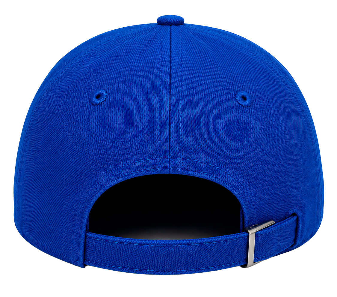 9DCC ASSORTED PREMIUM DAD HATS ASST - 9DCCHTS