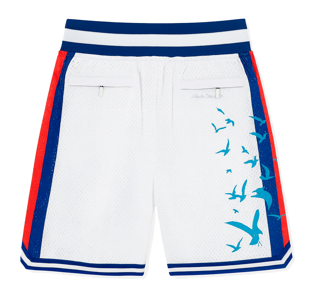YOUTH HEADGEAR ASSORTED BASKETBALL JERSEY SHORTS ASST - HGC-YBS-ASST