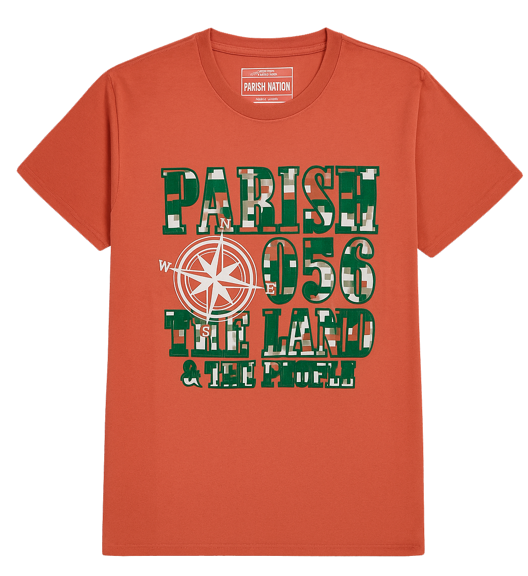 PARISH NATION ASSORTED GRAPHIC T-SHIRTS ASST - PNSSTA