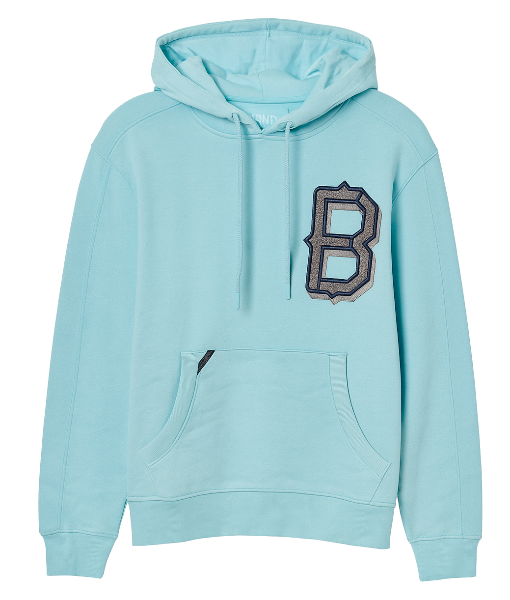 BORN FLY ASSORTED GRAPHIC HOODIES ASST - BFHDA