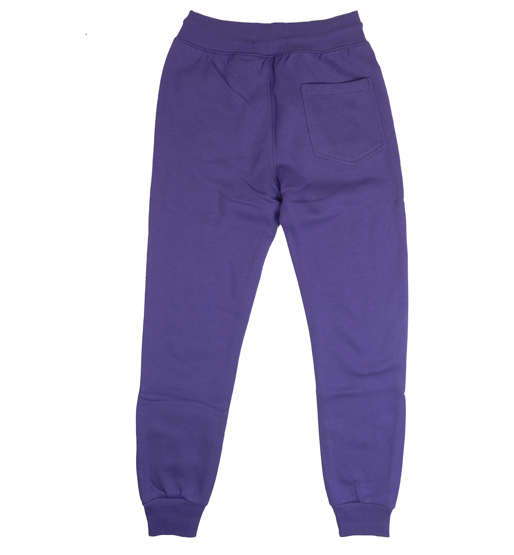 CREATE 2MRW GRAPHIC JOGGER PANTS PURPLE - CF1439