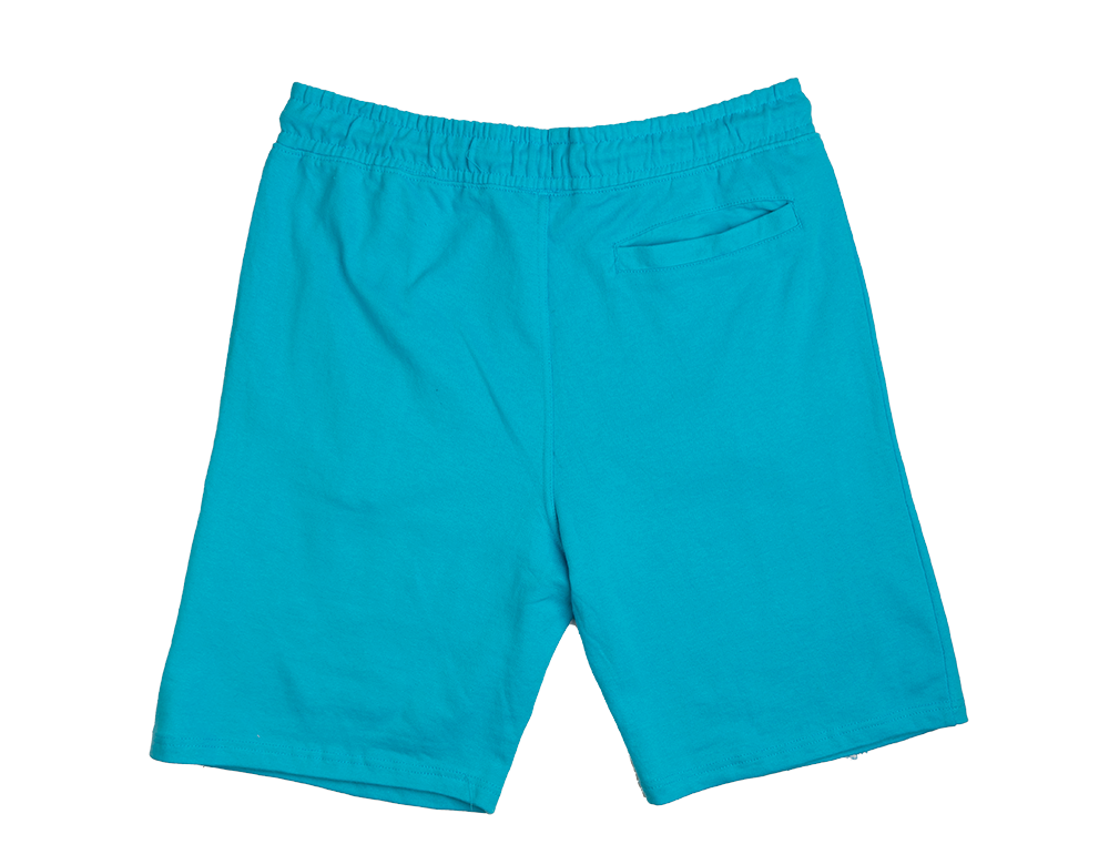 PARISH NATION SWEAT SHORTS BLUE - N05B2553