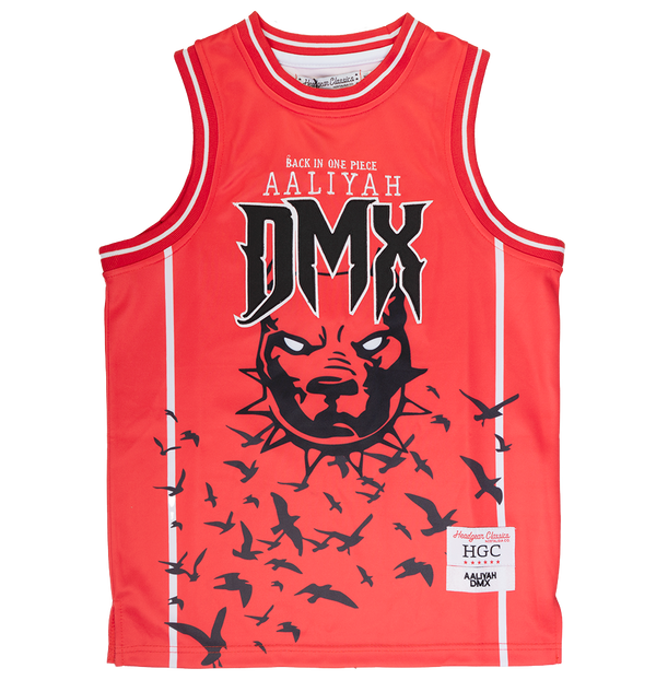 YOUTH HEADGEAR AALIYAH & DMX BASKETBALL JERSEY RED - HGC095X