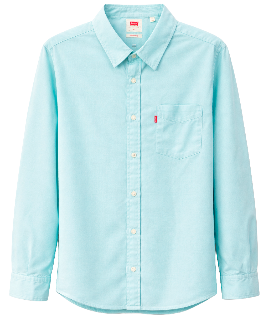 LEVIS ASSORTED L/S B/D SHIRTS ASST - LVSLSBD26