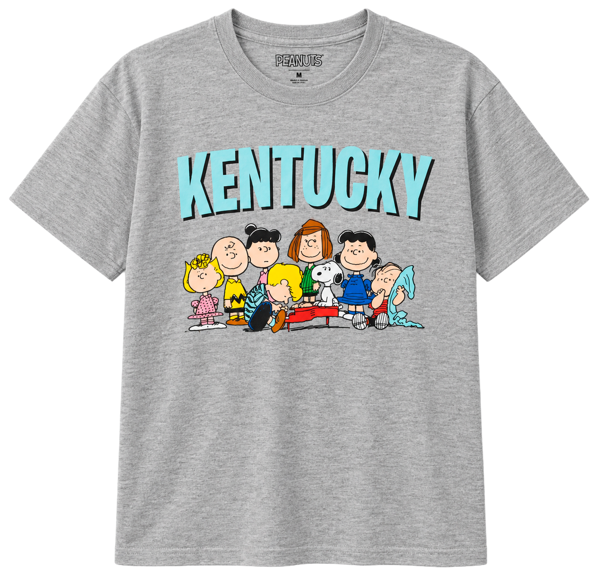 LICENSED ASSORTED MEN'S T-SHIRTS ASST - PEANUTS