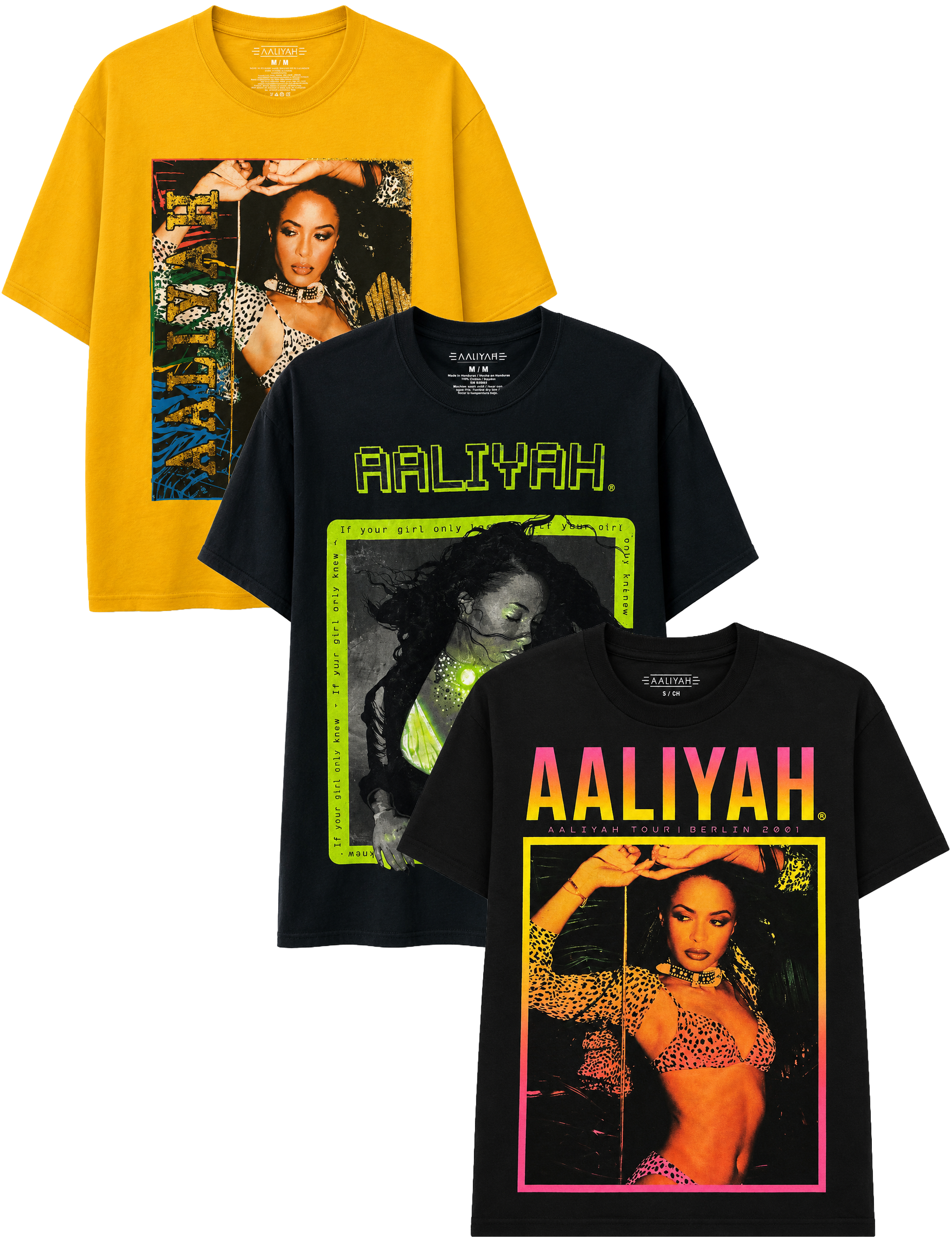 LICENSED ASSORTED AALIYAH T-SHIRTS ASST - ALYSSTA