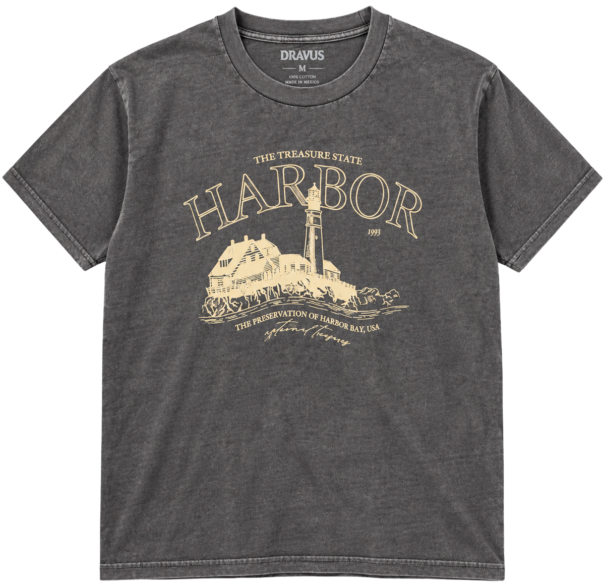 LICENSED GRAPHIC T-SHIRT CHARCOAL HTR - DRAVUS