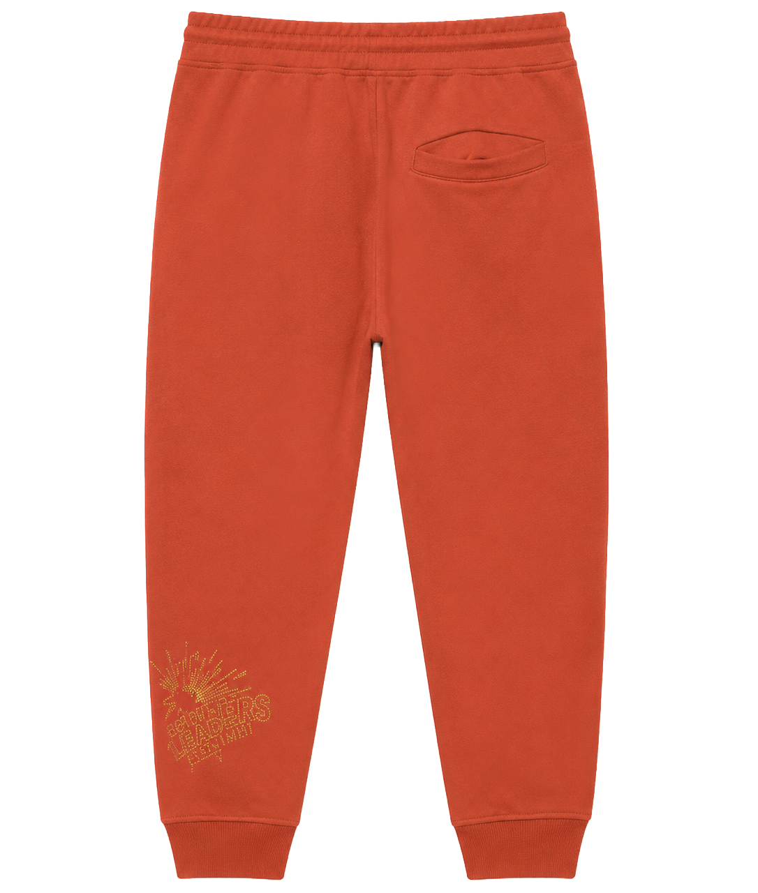 BORN FLY GRAPHIC JOGGER PANTS BURNT ORANGE - 2111B4241