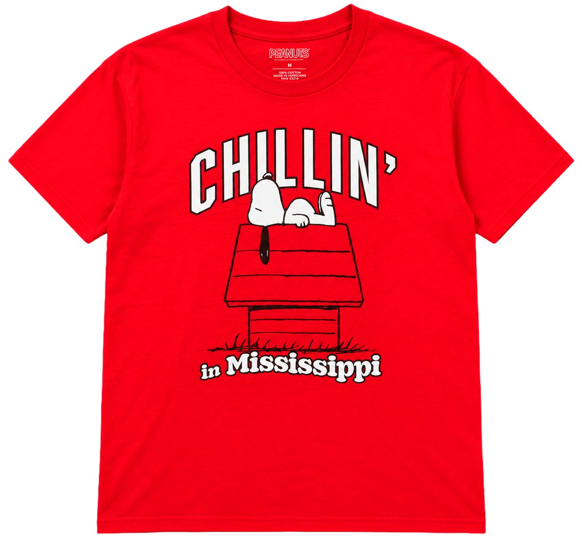 LICENSED ASSORTED MEN'S T-SHIRTS ASST - PEANUTS