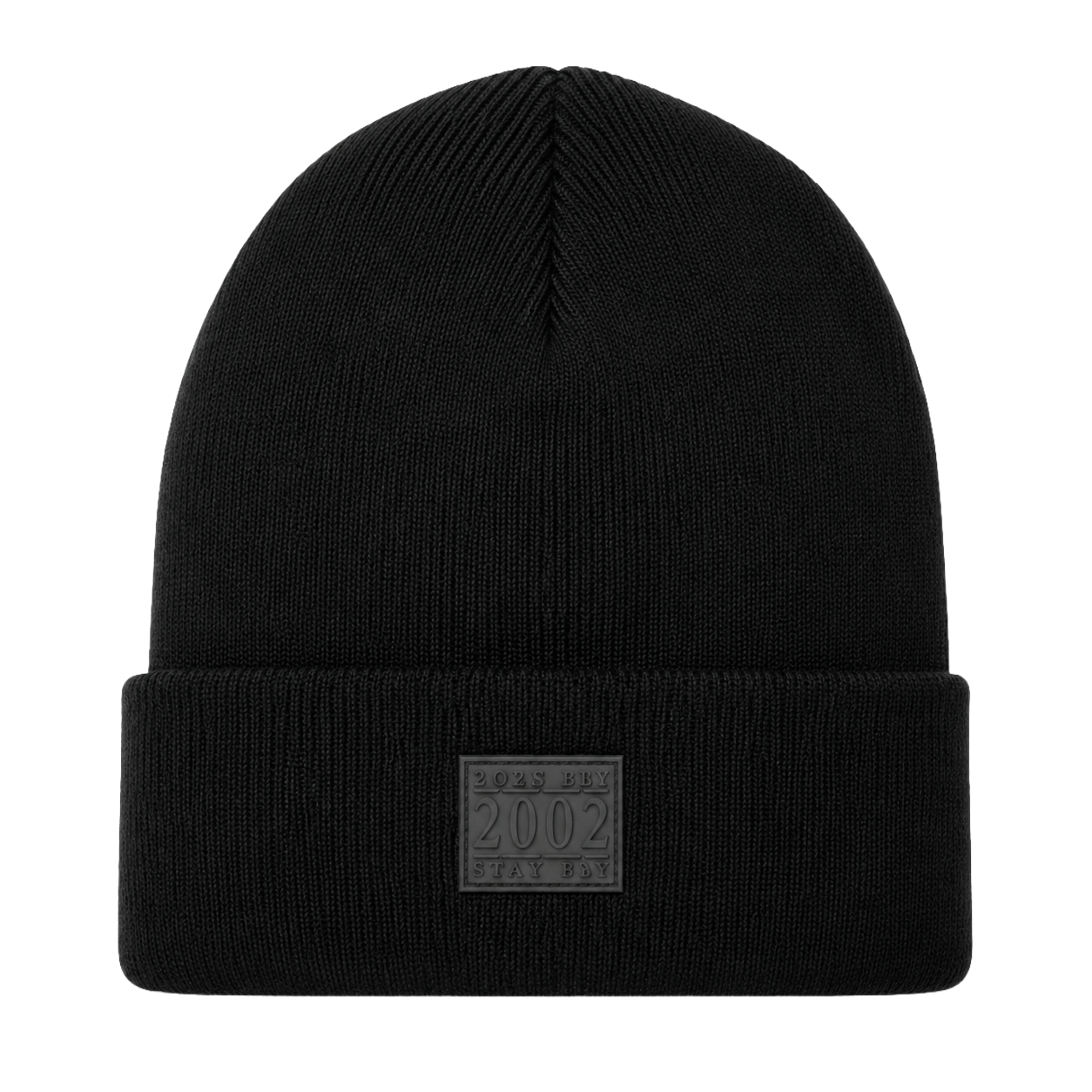 BORN FLY ASSORTED BEANIES ASST - BFBNSA